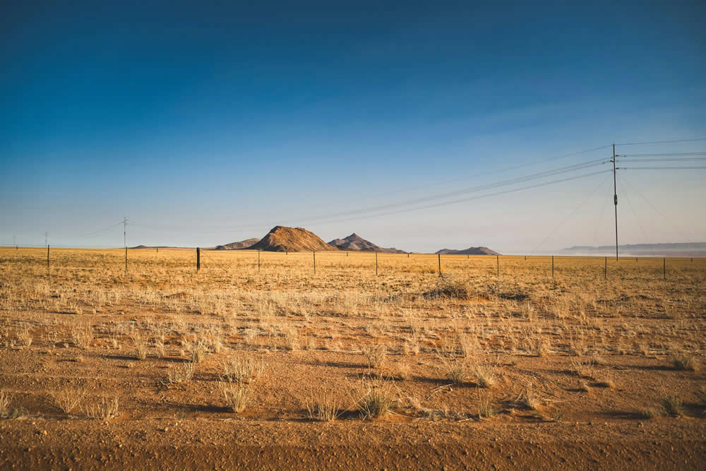 The Carbon Neutrality Trap: Why Offsets Alone Won’t Save Your Business