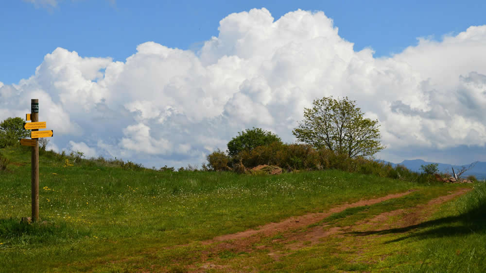 The Silent Sustainability Killer: How Poor Data Undermines Your ESG Goals