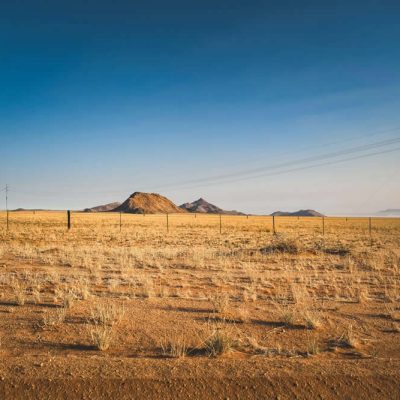 The Carbon Neutrality Trap: Why Offsets Alone Won’t Save Your Business