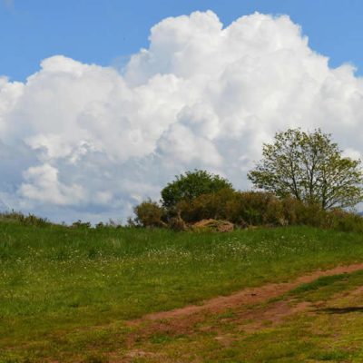 The Silent Sustainability Killer: How Poor Data Undermines Your ESG Goals